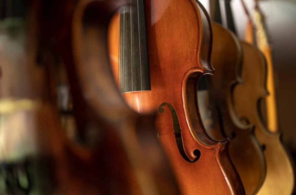 A close-up of violins on display showcasing the warm wood tones and curves of the instruments